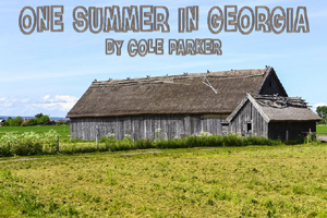 One Summer in Georgia by Cole Parker